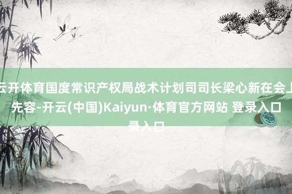 云开体育国度常识产权局战术计划司司长梁心新在会上先容-开云(中国)Kaiyun·体育官方网站 登录入口