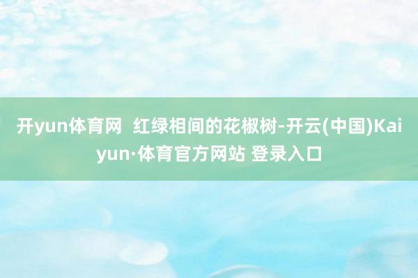 开yun体育网 红绿相间的花椒树-开云(中国)Kaiyun·体育官方网站 登录入口